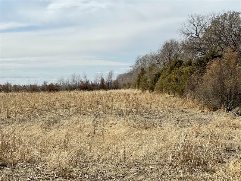 Silver Creek Ranch Headquarters : Forestburg : Sanborn County : South Dakota