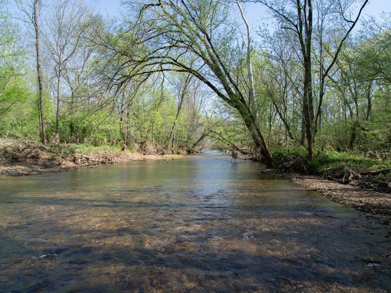 198 Ac on Big Spring Creek, Farm for Sale in Tennessee, #275803 : FARMFLIP