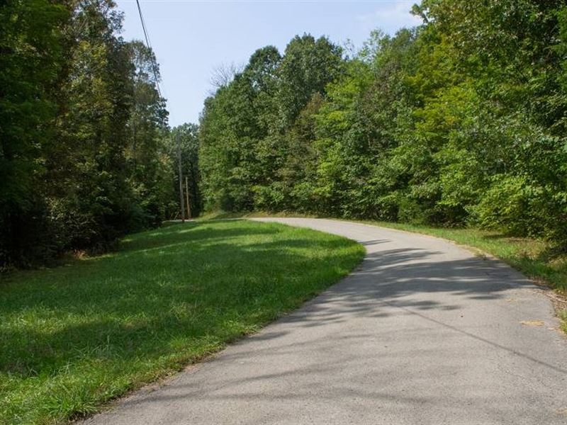 6.23 Acre in Wayne County, KY, Farm for Sale by Owner in Kentucky ...