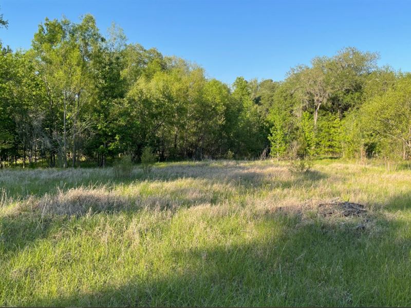 Acreage Well, Septic, 0, Farm for Sale in Florida, 276082 FARMFLIP