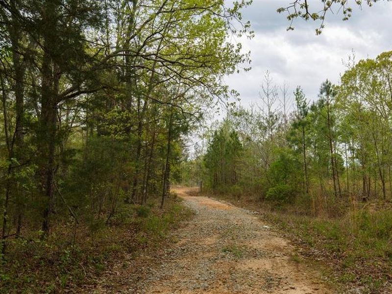 5.67 Acre in Henderson County, TN : Lexington : Henderson County : Tennessee