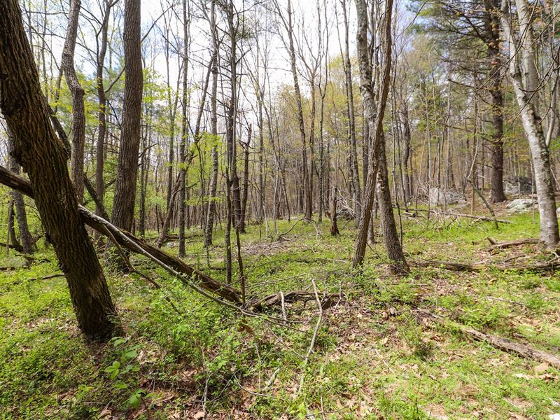 Wooded Land for Sale in Riner VA, Farm for Sale in Virginia, #276558 ...