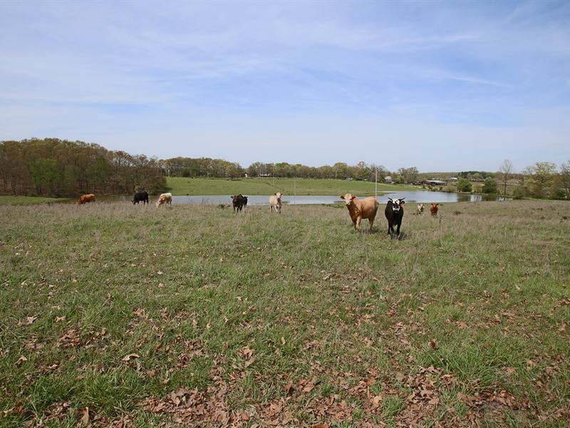 hobby farms for sale in mo