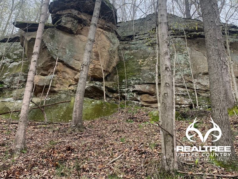 Land For Sale In Vinton County Ohio