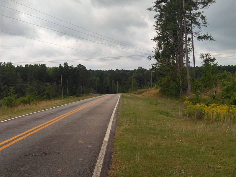 Hwy 341 and Old 341 Road Frontage : Musella : Crawford County : Georgia