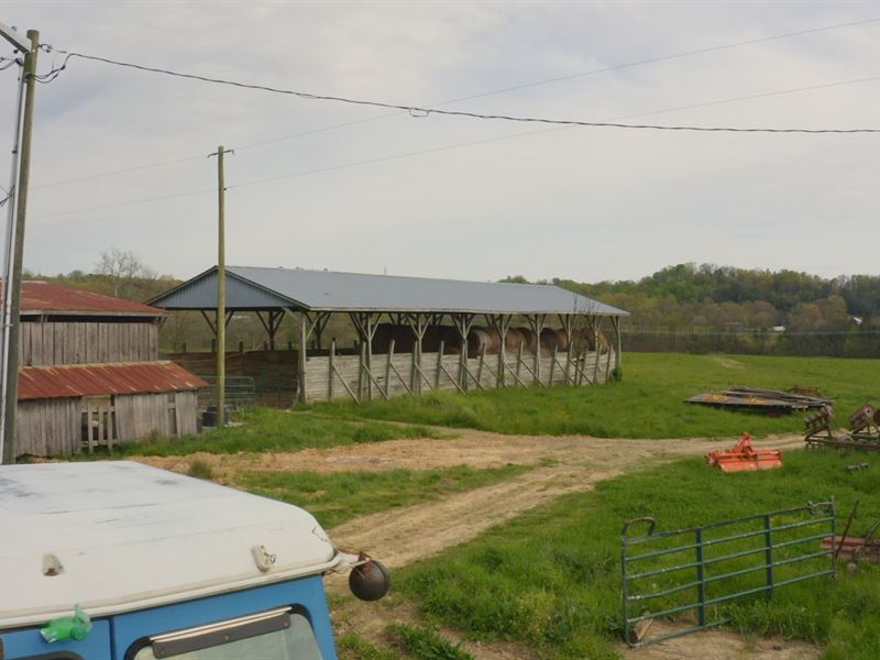 East Tennessee Mini Farms for Sale : Bulls Gap : Hawkins County : Tennessee