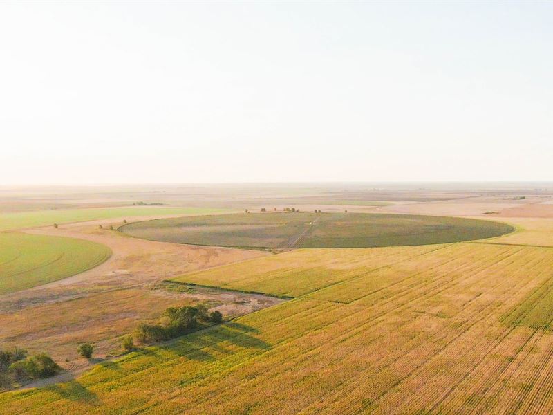 Irrigated Opportunity Northern Lamb : Earth Tx : Lamb County : Texas