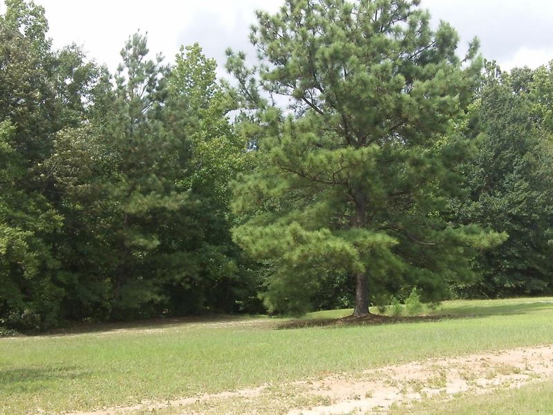 Tussahaw Farms, 7.50 Acre Lot : Locust Grove : Henry County : Georgia