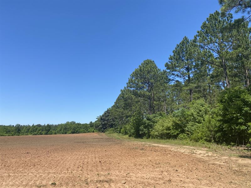 Rare Rural Terrell County Tract, Farm for Sale in Georgia, #279454 ...