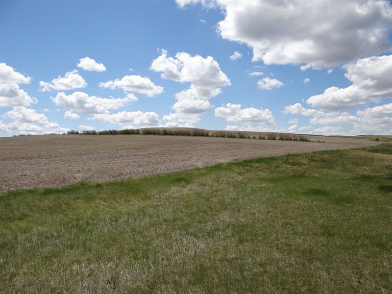 Central Montana Farm Land for Sale, Farm for Sale in Montana, #279785 ...