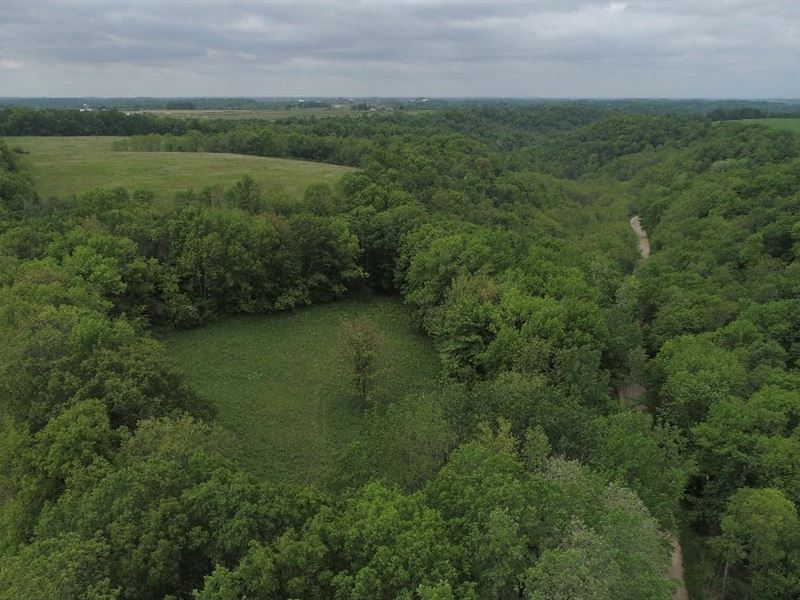 Sauk County Land For Sale