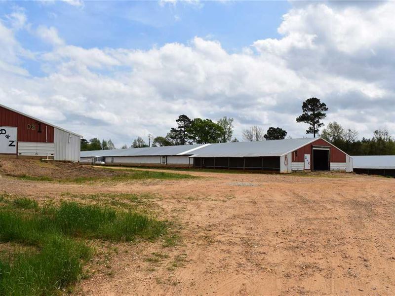 98 Acres in Rosston, Arkansas, Farm for Sale in Arkansas, #281868 ...