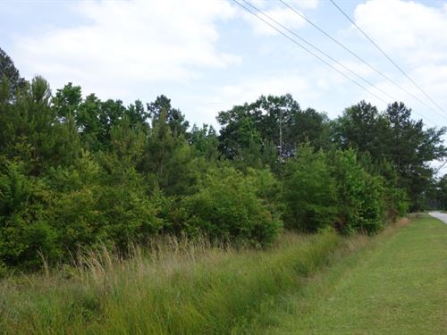 Rural Vacant Land South Carolina