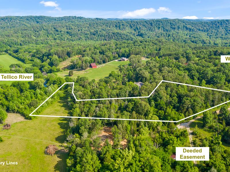 Tellico Plains Lot Near River, Farm for Sale in Tennessee, 283223