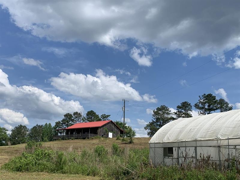 95 Acres in Verbena, Chilton Co : Verbena : Chilton County : Alabama