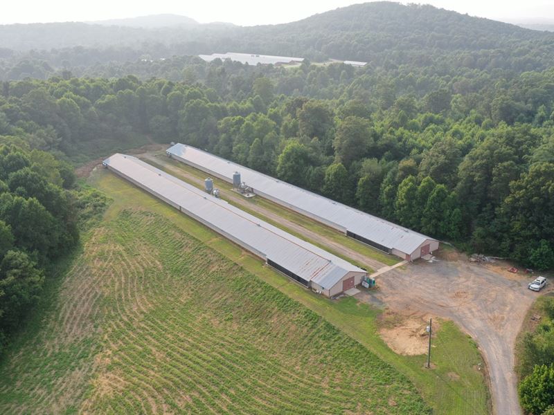 Darwin Breeder Farm : Ellijay : Gilmer County : Georgia