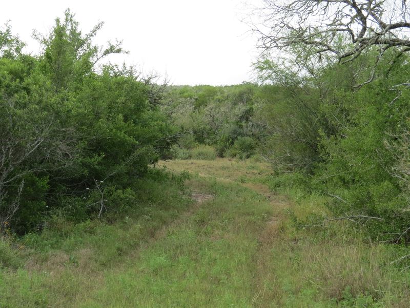 South Texas Brush Country, Farm for Sale by Owner in Texas, #285810 ...