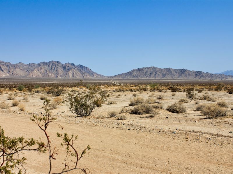 wolf-of-the-mojave-farm-for-sale-by-owner-in-needles-san-bernardino