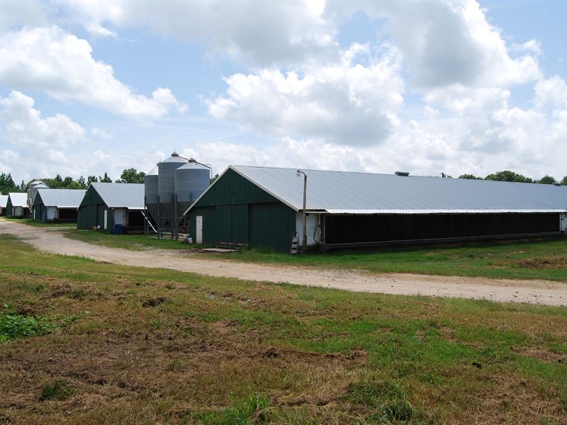 Broiler Farm, 6 Houses, Updated, Farm for Sale in Georgia, #287372 ...