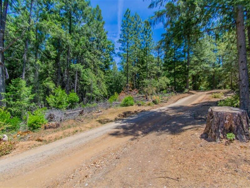 18 + Acres in Beautiful Volcano, CA : Volcano : Amador County : California