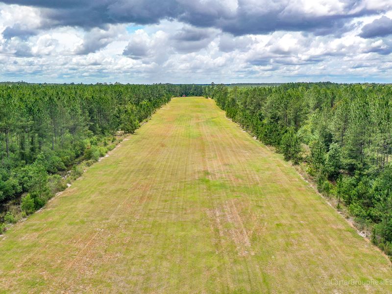 Timber and Hunting Tract : Screven : Wayne County : Georgia