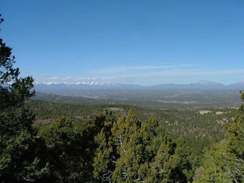 51 Santa Fe Trail Ranch : Trinidad : Las Animas County : Colorado