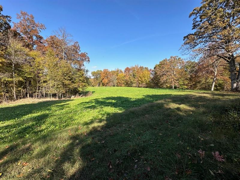 269.25 Acres in College Grove, Tennessee : College Grove : Williamson County : Tennessee