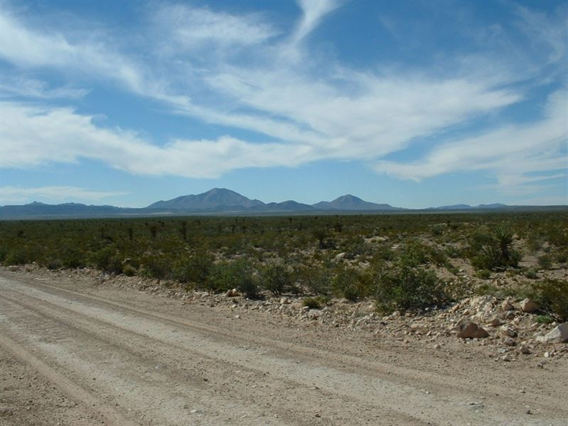 Electric On Land, On Co Rd, $399/Mo : Sierra Blanca : Hudspeth County : Texas