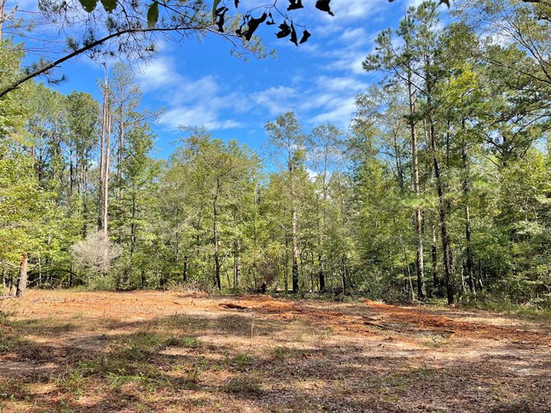 Piney Woods Creek Tract : Farm for Sale in Highland Home, Crenshaw ...