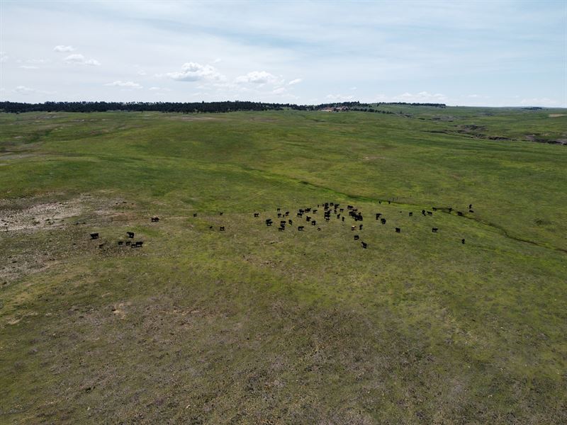 Station Gulch Ranches : Calhan : Elbert County : Colorado