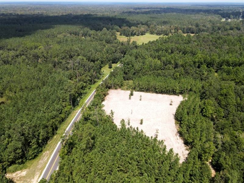 156 Acres Land For Sale In Pearl RI Farm for Sale in Poplarville