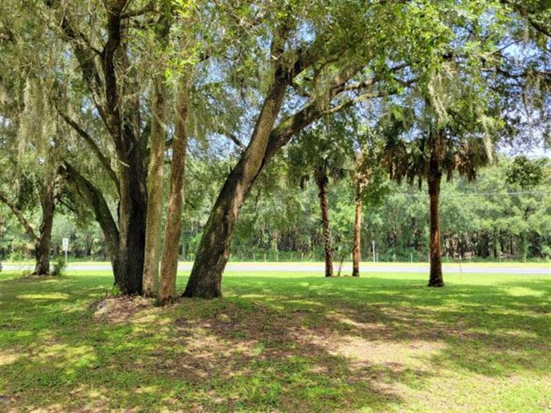 Orange Lake Acres, 6 Ac, Farm for Sale in Florida, #292690 : FARMFLIP