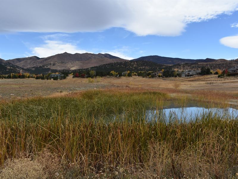 Sage Valley Acres : Longmont : Boulder County : Colorado