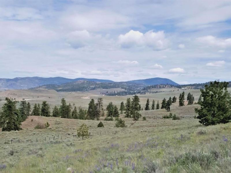 Get This Beautiful Land Tonasket : Farm for Sale by Owner in Tonasket ...