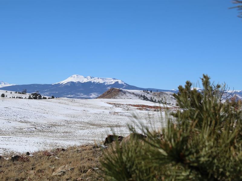 Majestic View Ranch : Hartsel : Park County : Colorado