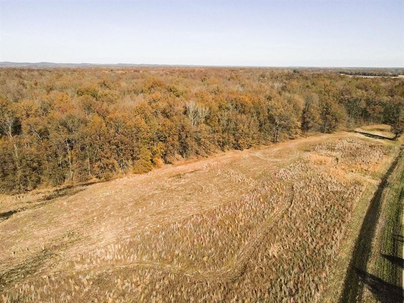 6 Acre Lot for Sale in Stoddard Cou : Puxico : Stoddard County : Missouri