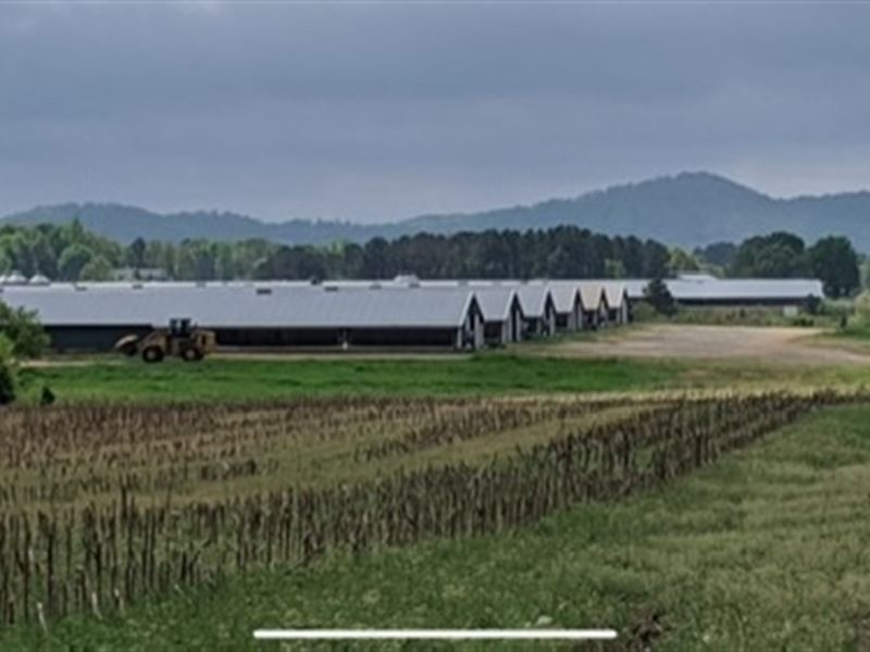 Poultry / Chicken Farm for Sale : Chatsworth : Murray County : Georgia