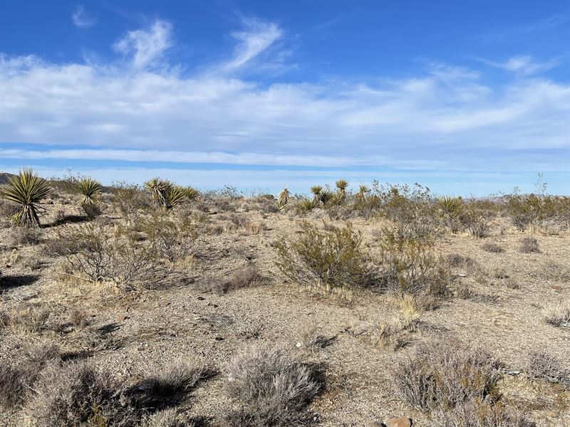 Gateway To Freedom : Dolan Springs : Mohave County : Arizona