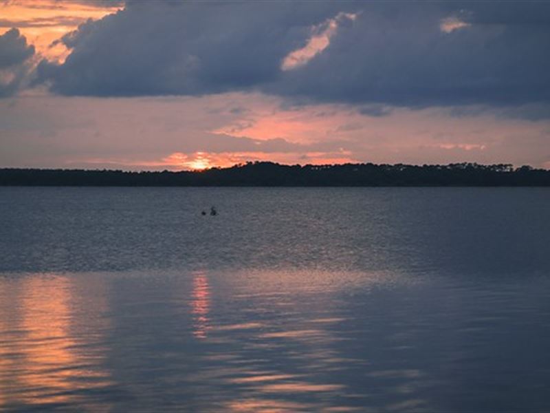 25 Acres on Largest Lake in Florida : Pierson : Volusia County : Florida