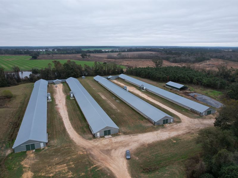 4 House Breeder Poultry Farm : Quitman : Brooks County : Georgia