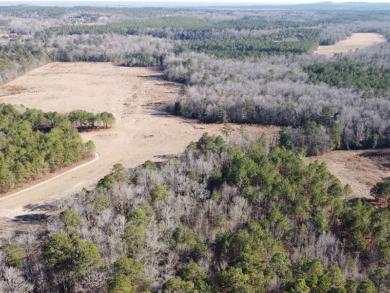 Beautiful Old Farm, Great Location : Lugoff : Kershaw County : South Carolina