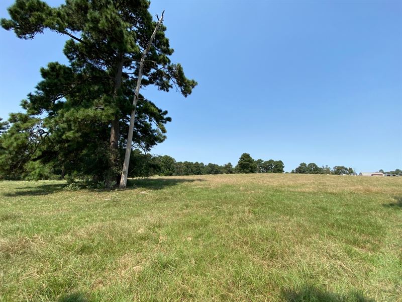 33.59 Acres in Navasota, Texas : Navasota : Grimes County : Texas