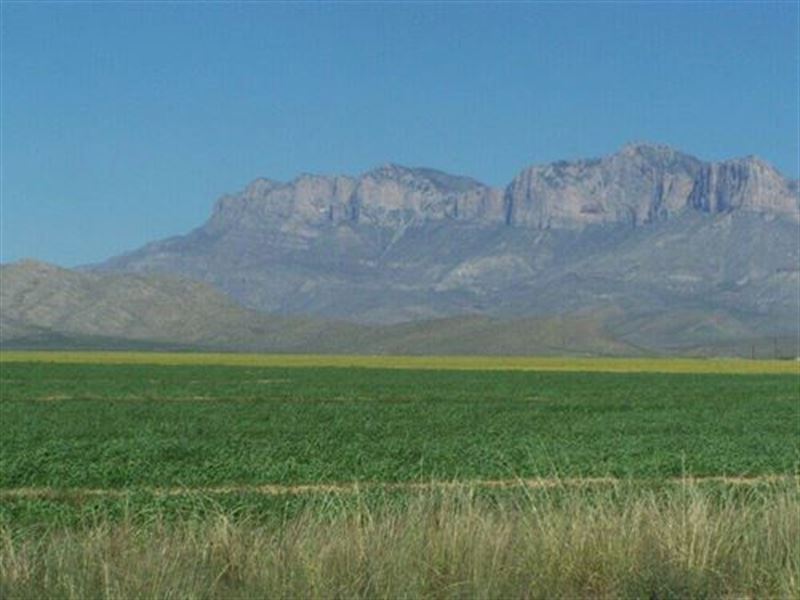 Beautiful Farm Land in The Desert : Dell City : Hudspeth County : Texas