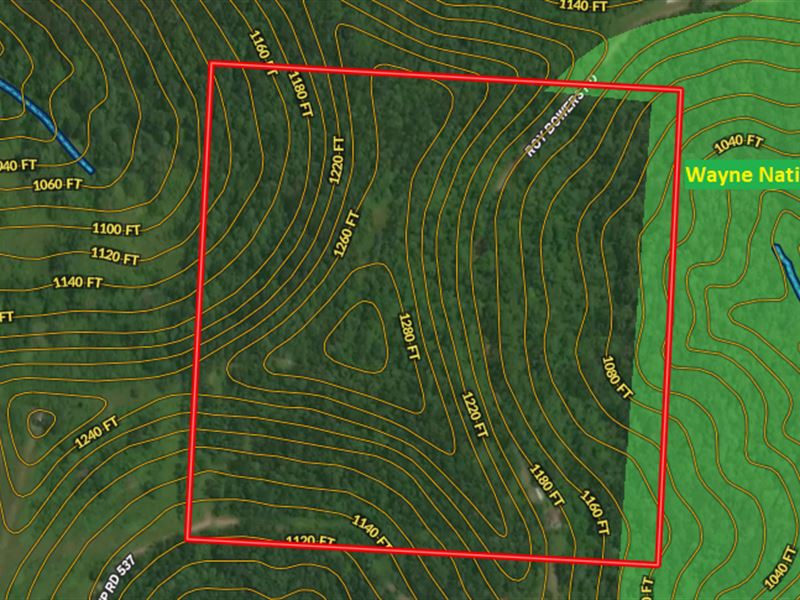 40 Acres Bordering National Forest, Farm for Sale in Ohio, 306855