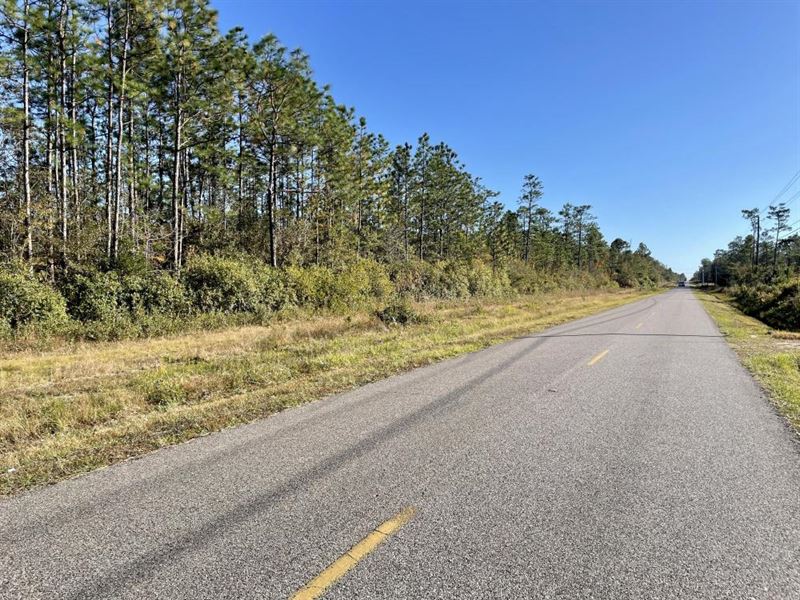 Dog River Road Development Tract : Theodore : Mobile County : Alabama