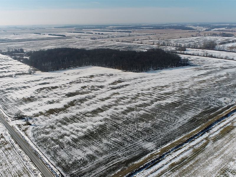 Land Auction, 275 +/- Acres Offered : Wheatfield : Jasper County : Indiana