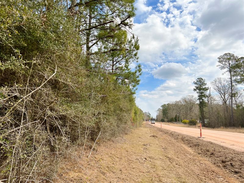 36 Acres, T12 FM 1746 : Town Bluff : Tyler County : Texas