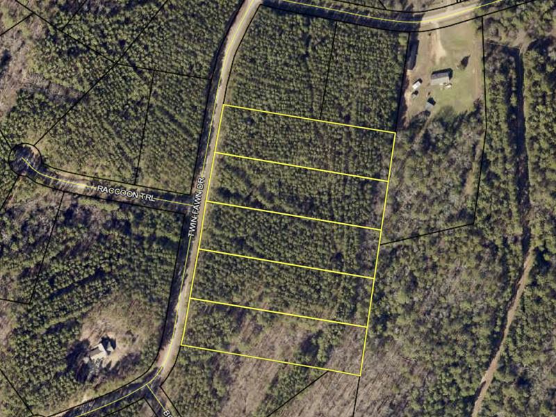 Wooded Residential Acreage : Elberton : Elbert County : Georgia