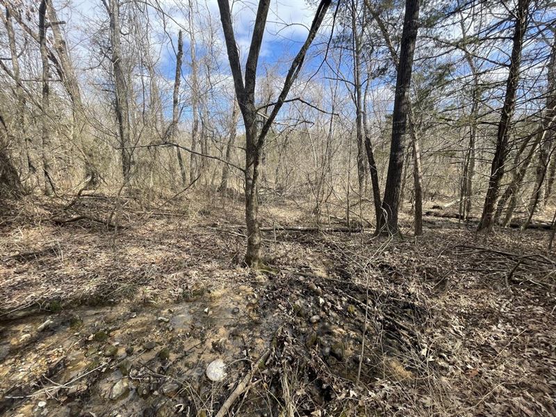 5 Acres, Franklin, AR : Franklin : Izard County : Arkansas