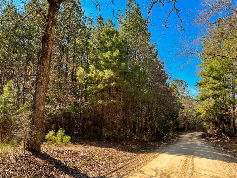 55 Acres, Paces Creek T3076-10 : Corrigan : Polk County : Texas